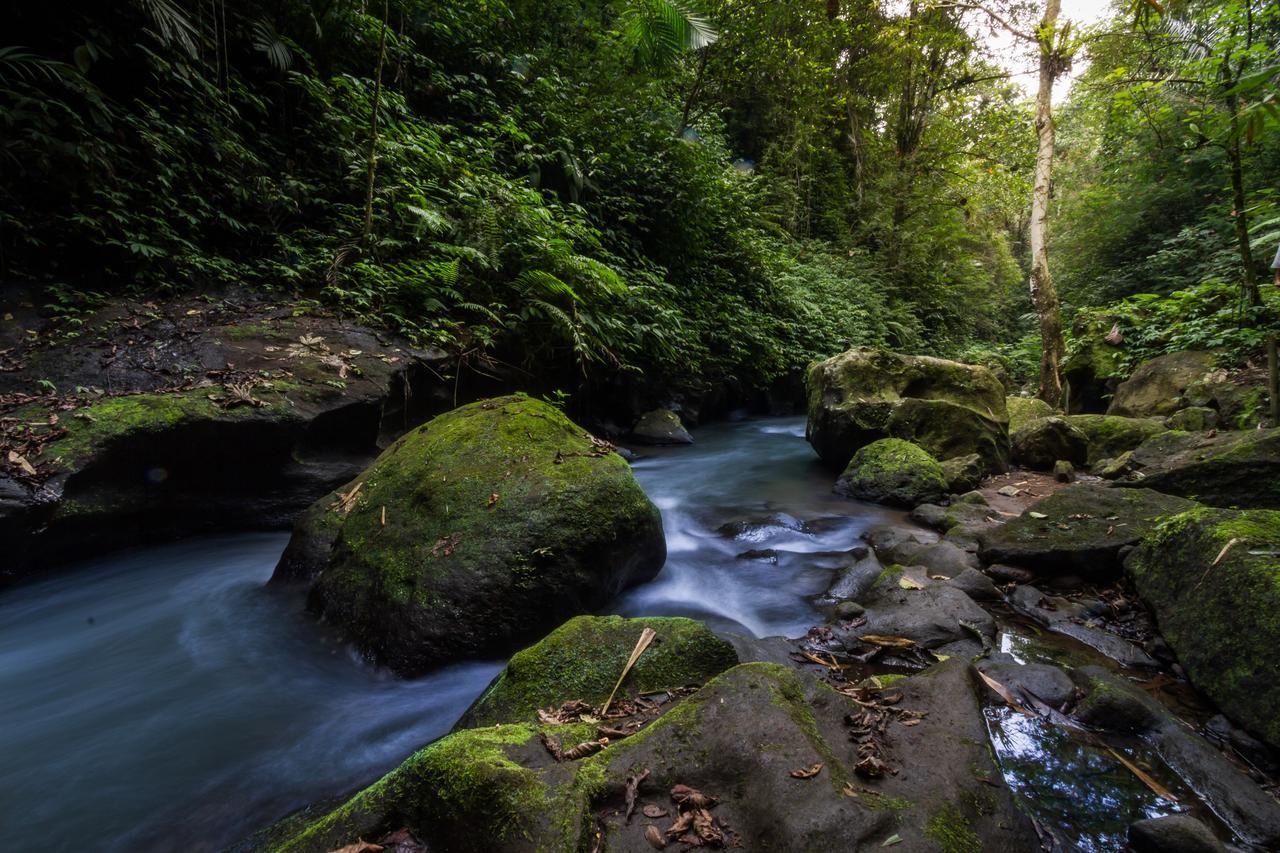 Отель Bali Eco Adventure And Retreat Center Тегаллаланг Экстерьер фото