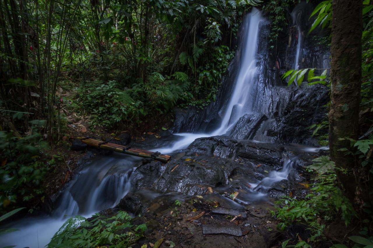 Отель Bali Eco Adventure And Retreat Center Тегаллаланг Экстерьер фото